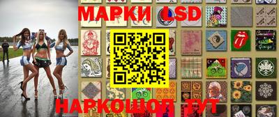 стафф Пенза