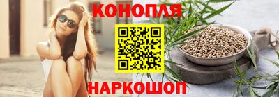 стафф Пенза