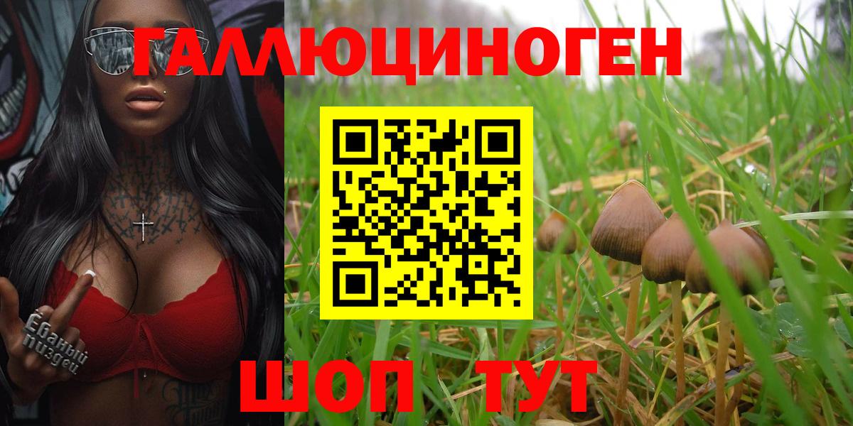 Северобайкальск  Псилоцибиновые грибы ЛСД  Вход с VPN  Псилоцибиновые грибы Magic Shrooms 